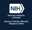 Fish wins NIH award for work dedicated to LGBTQ people's health